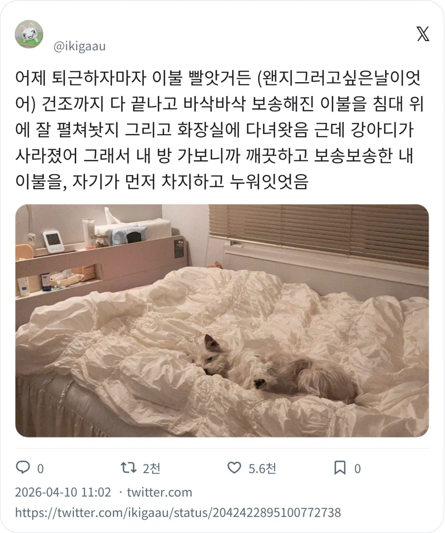 건조기 돌려 보송보송한 이불_1.webp