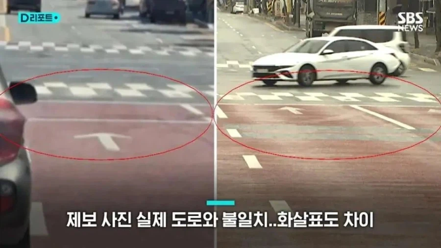 대전 늑대 도로 목격 제보사진 ai사진 판명 ㄷㄷ_2.webp