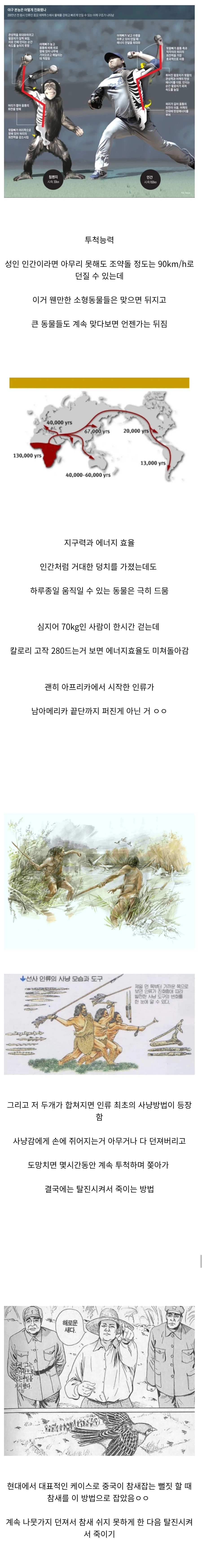 인간이 피지컬로 동물을 이기는 분야...jpg_1.webp