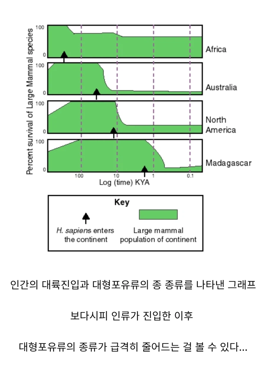인간이 피지컬로 동물을 이기는 분야...jpg_2.webp