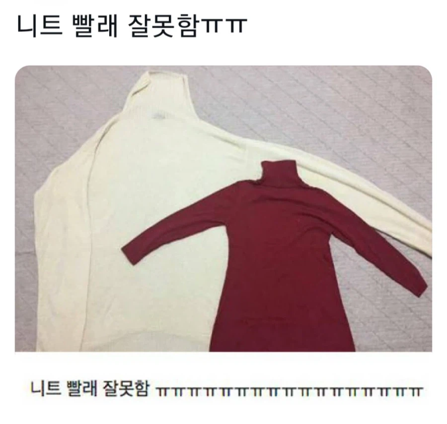 니트 빨래 잘못함 ㅠㅠ.jpg_1.webp