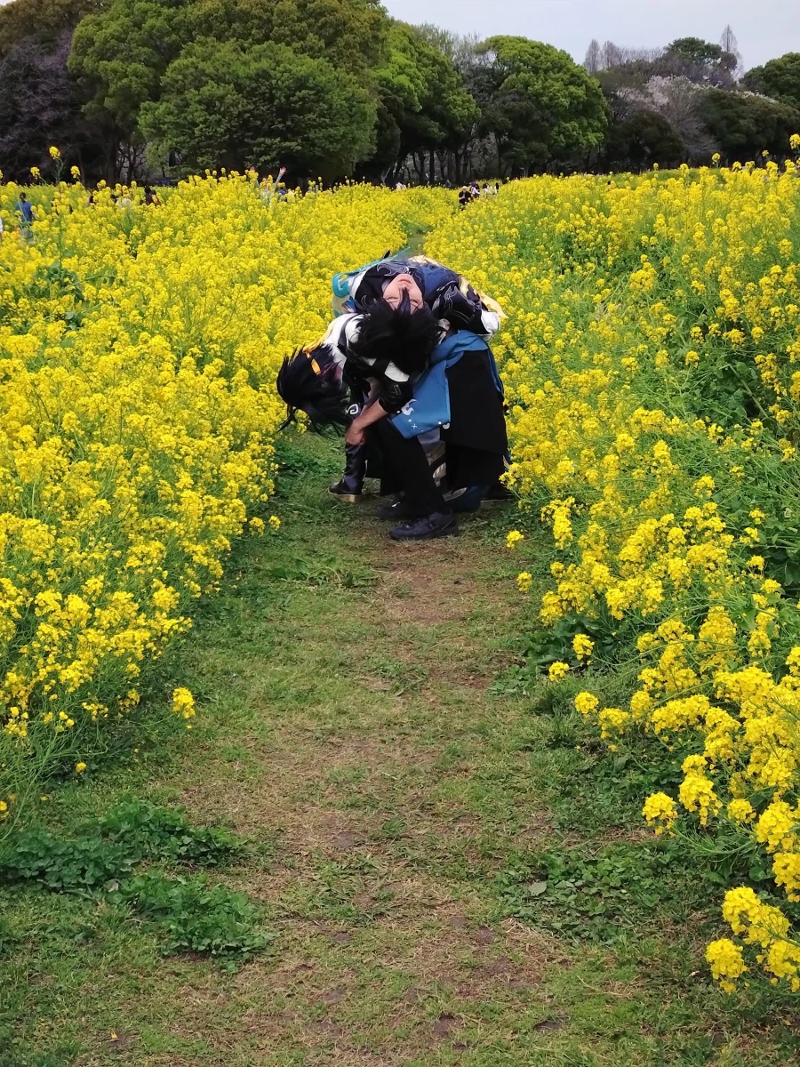 코스프레 이상과 현실_2.webp