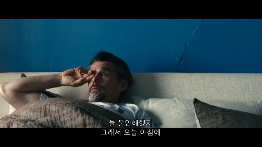 집돌이 새1끼 집밖으로 꺼내는 방법_7.webp