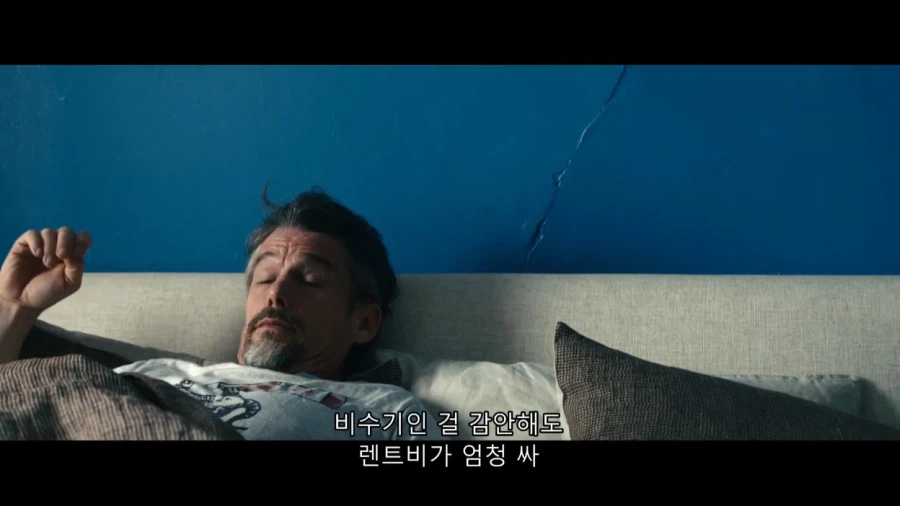 집돌이 새1끼 집밖으로 꺼내는 방법_9.webp