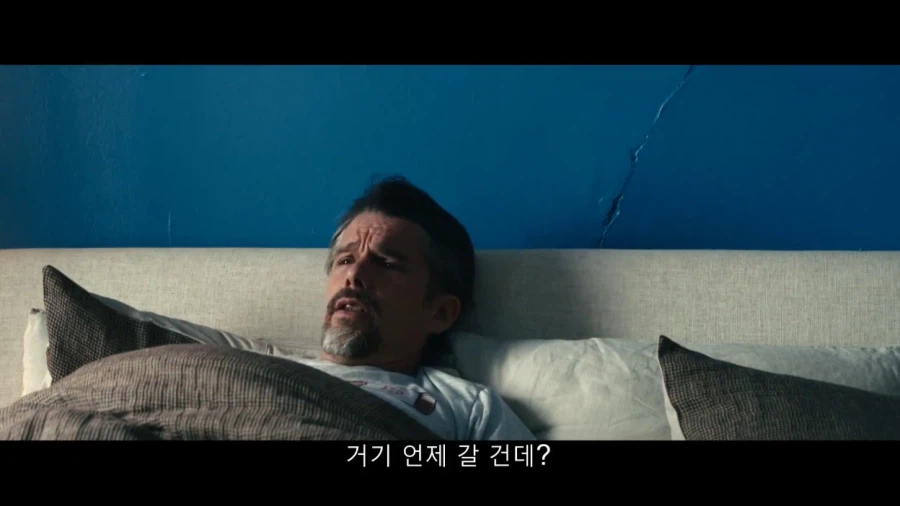 집돌이 새1끼 집밖으로 꺼내는 방법_13.webp