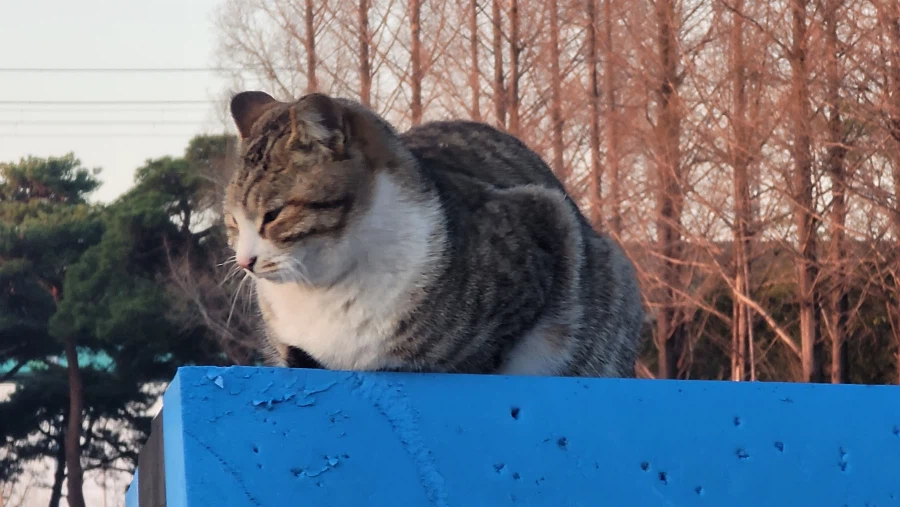 양궁장 고우앵이_1.webp