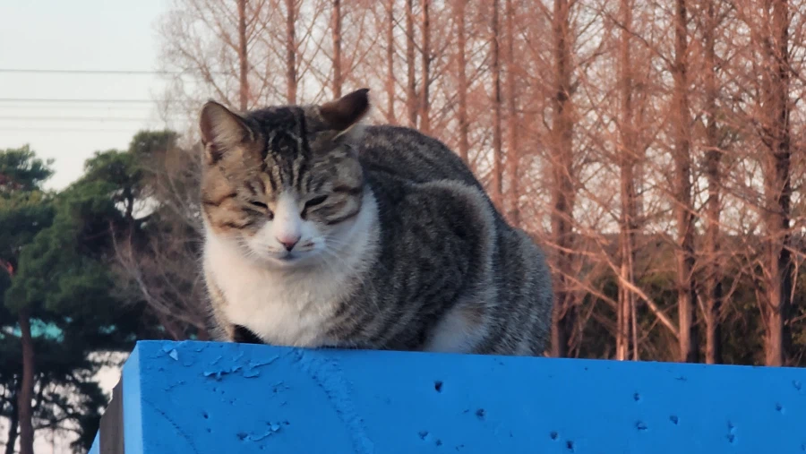 양궁장 고우앵이_2.webp