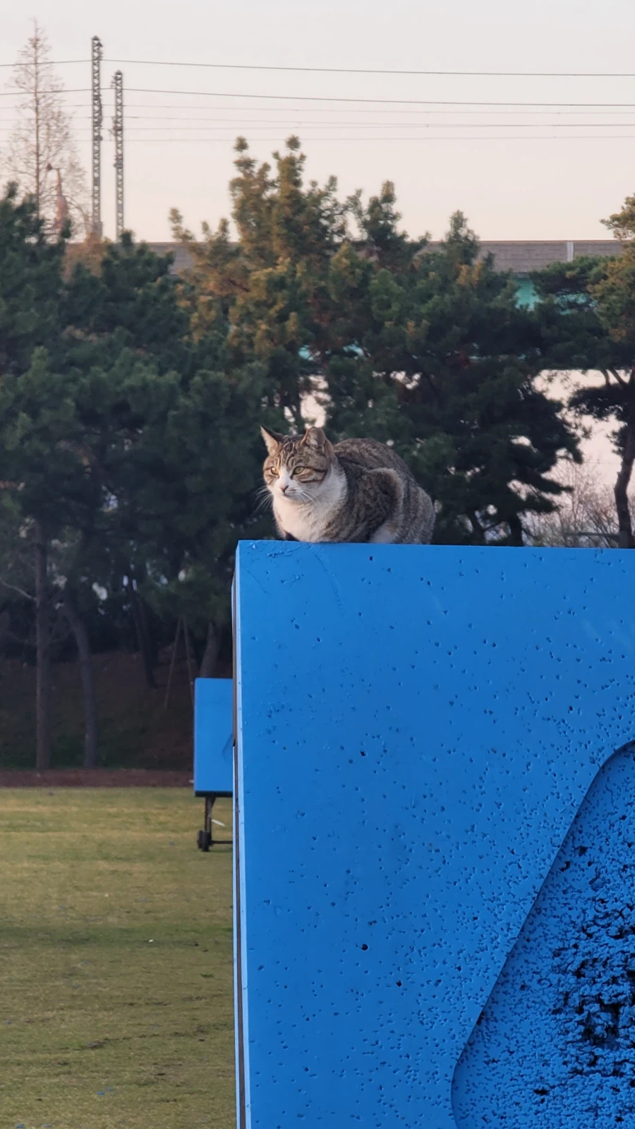 양궁장 고우앵이_4.webp