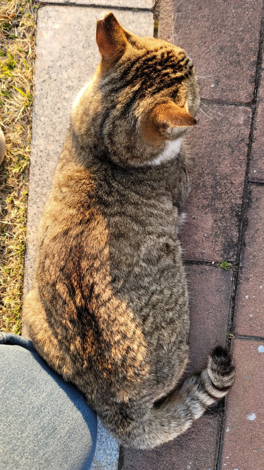 양궁장 고우앵이_5.webp