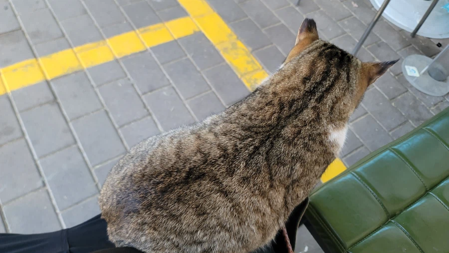 양궁장 고우앵이_6.webp