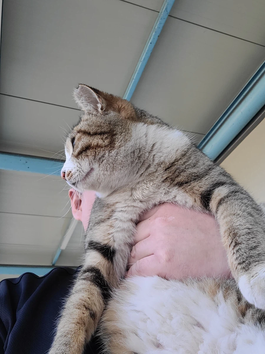 양궁장 고우앵이_9.webp