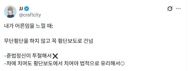 꼭 횡단보도를 통해 건너는 이유.jpg_1.webp