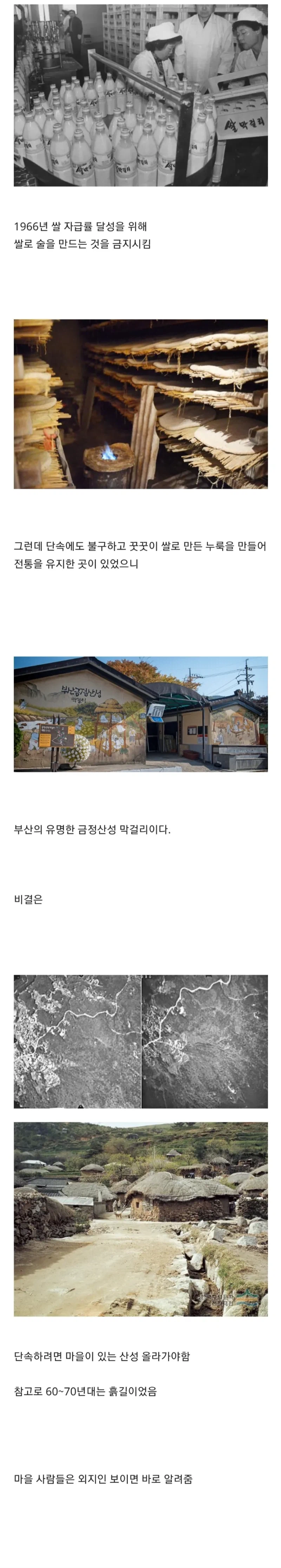 쌀막걸리가 불법이던 시절 양조장이 살아남는 법.jpg_1.webp