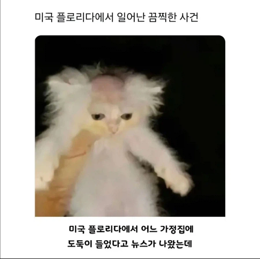 미국 플로리다에서 일어난 끔찍한 사건 ㄷㄷ.jpg_1.webp