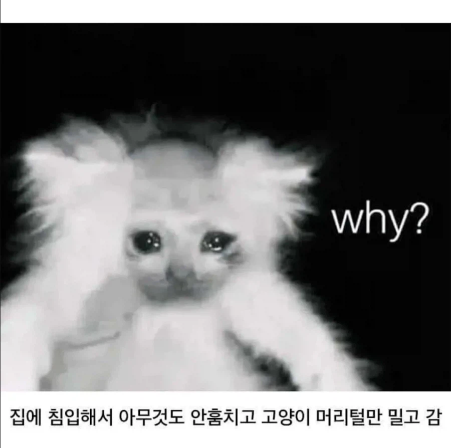 미국 플로리다에서 일어난 끔찍한 사건 ㄷㄷ.jpg_2.webp