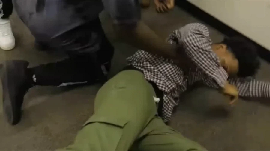 1800년대에 가장 많이 팔린 물건_6.webp