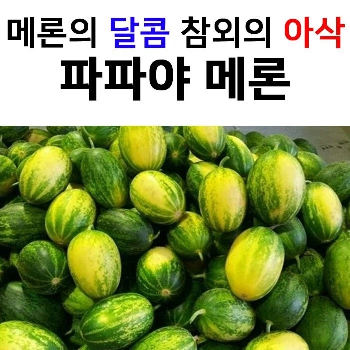 아빠 그만해를 일본어로 하면?_1.webp