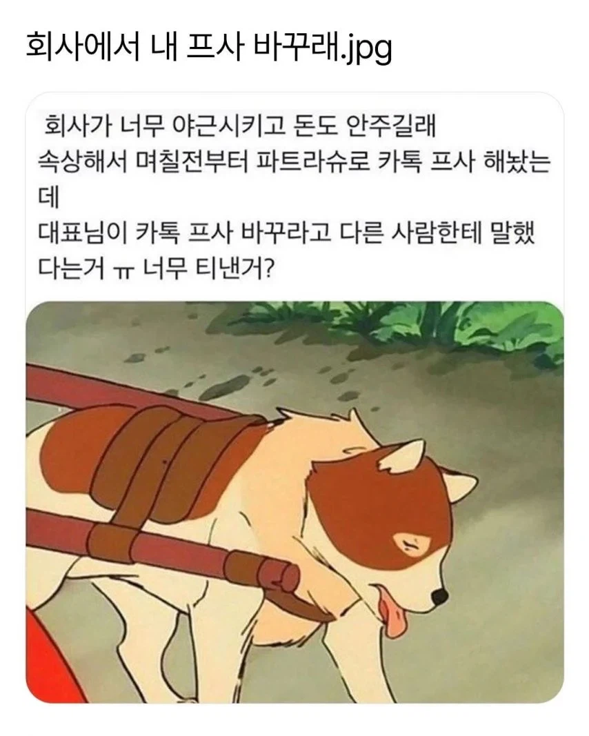 회사에서 카톡 프사 바꾸란 말 들은 사람.jpg_1.webp