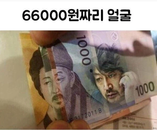 66,000원 짜리 얼굴.jpg_1.webp