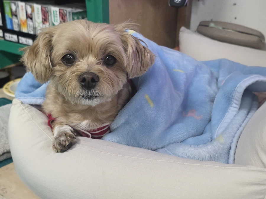 처음 오는 동네에서 로또사러 왔는데_1.webp