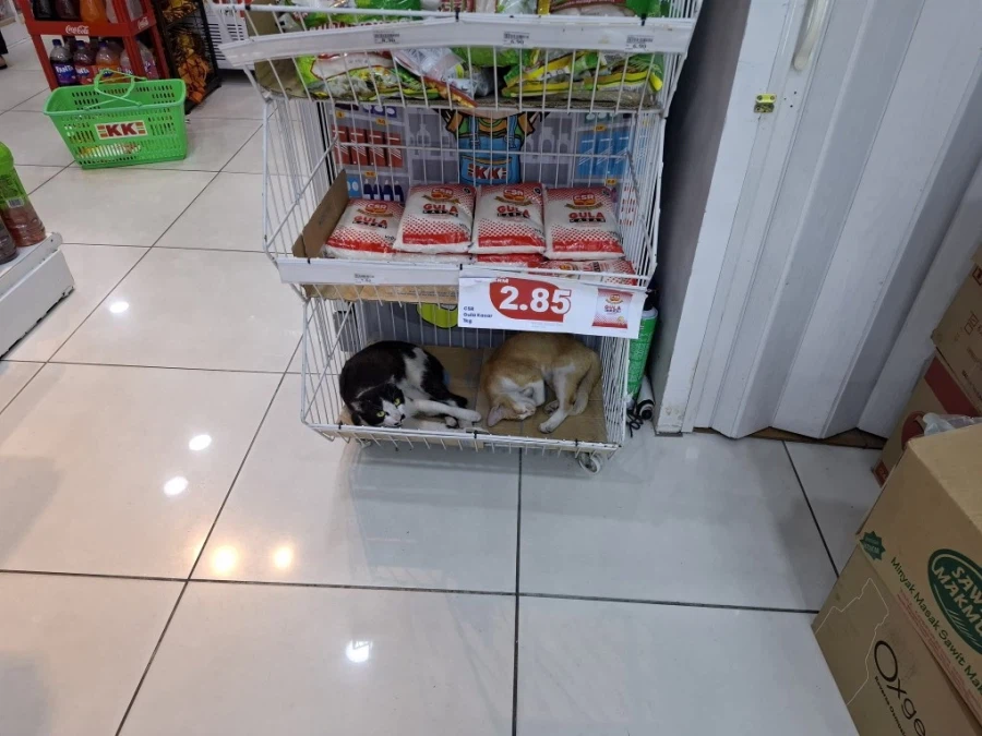 의외로 마트에서 안파는 것_1.webp