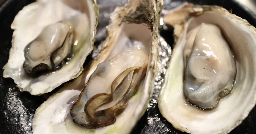 의외로 생굴로 노로바이러스 많이 걸리는 경로_1.webp