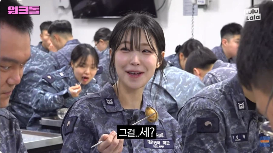 전역일을 세고 있는 이병을 보는 걸그룹._7.webp