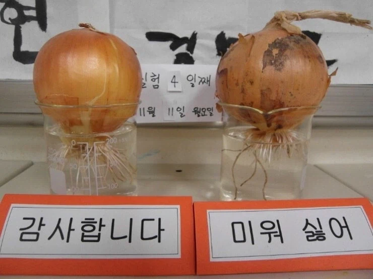 야구팬들이 맨날 욕하는 이유_1.webp