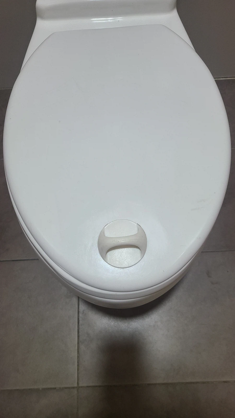 양변기 뚜껑에 손잡이도 있드라_1.webp