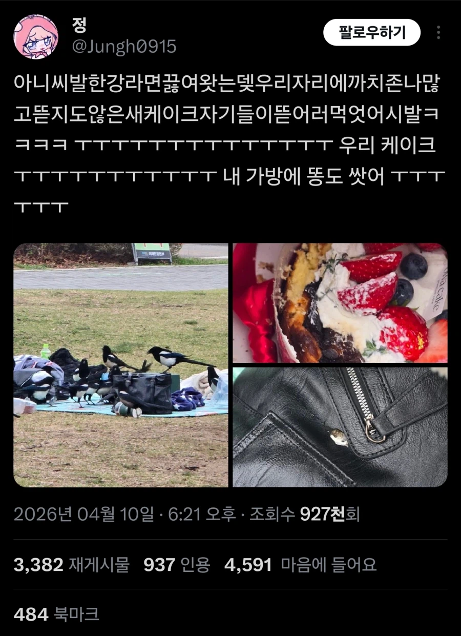 한강에서 짐 두고서 자리를 비우면 안되는 이유_1.webp