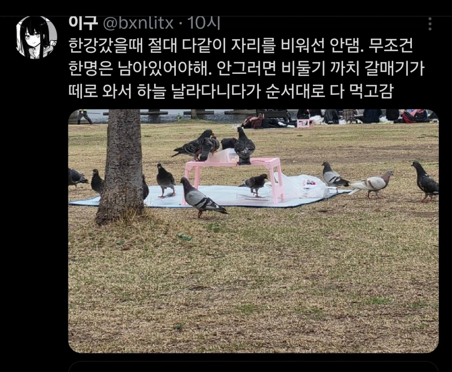 한강에서 짐 두고서 자리를 비우면 안되는 이유_4.webp