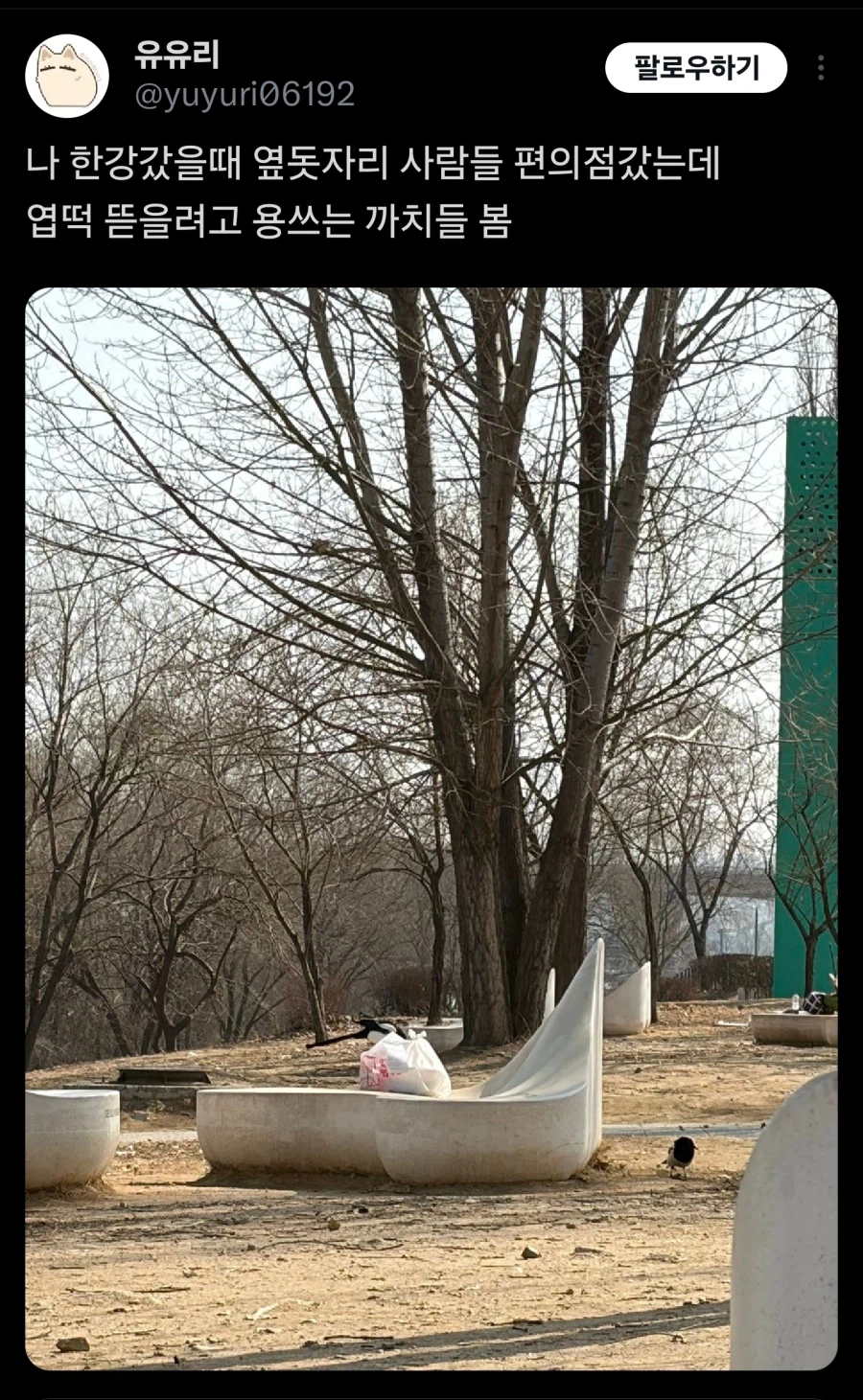 한강에서 짐 두고서 자리를 비우면 안되는 이유_5.webp