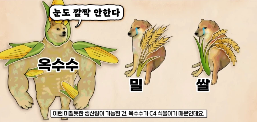 인류를 굶주림의 절망에서 구원해준 위대한 선지자_4.webp