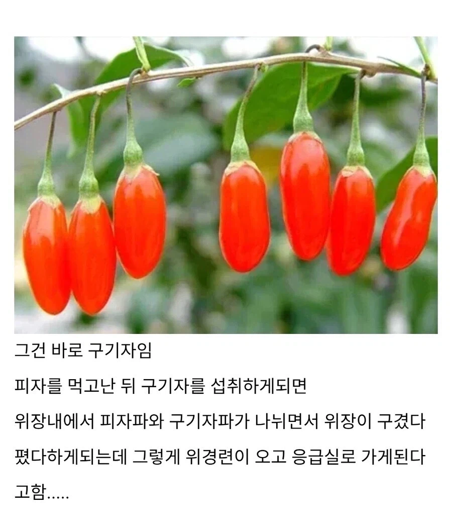 건강상식)피자와 함께 먹으면 안되는 음식_2.webp