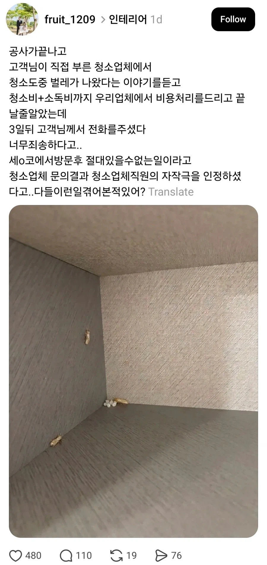 청소 도중 벌레 나왔다고 사기친 청소업체_1.webp