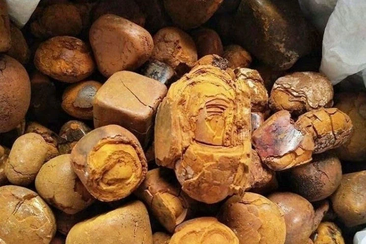 브라질 갱단들이 탐내는 금보다 비싼 물건_1.webp