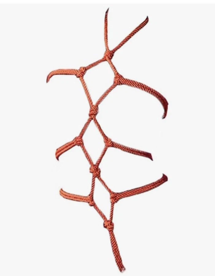 요새 X에서 자주 보이는 짤_1.webp