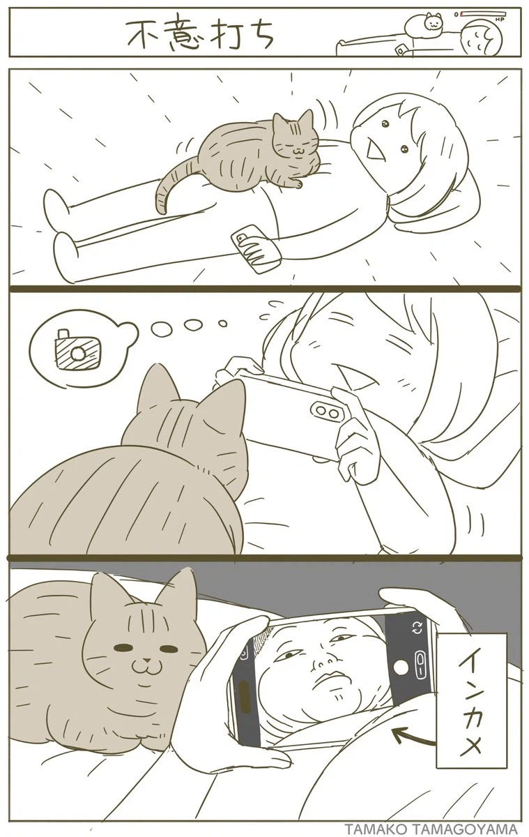 와 우리 고양이가 내 배위에 올라왔어 사진찍어야지_1.webp