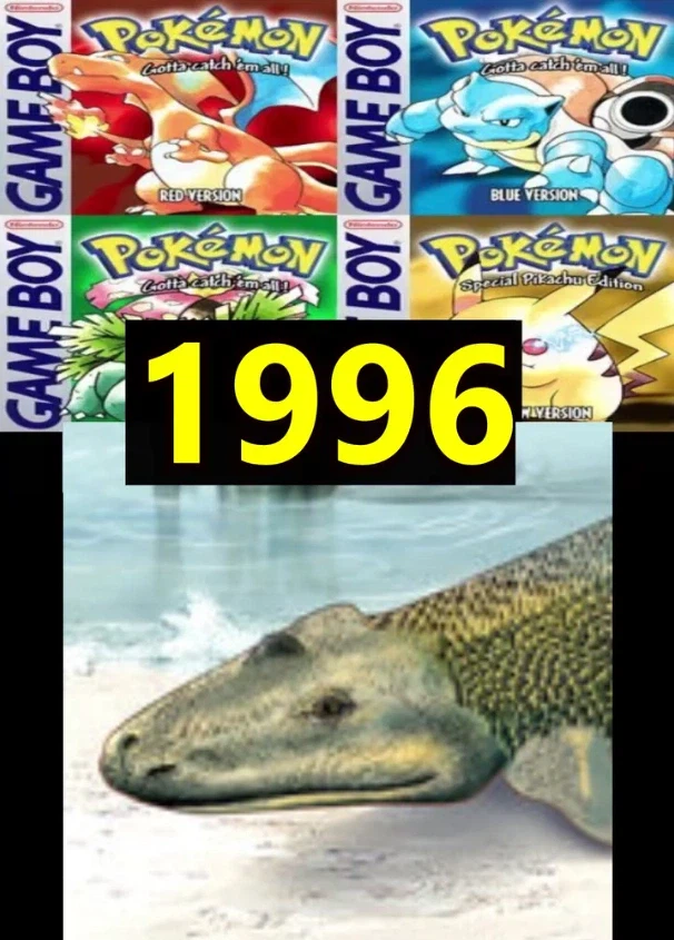 포켓몬 세대별 연령차이_12.webp