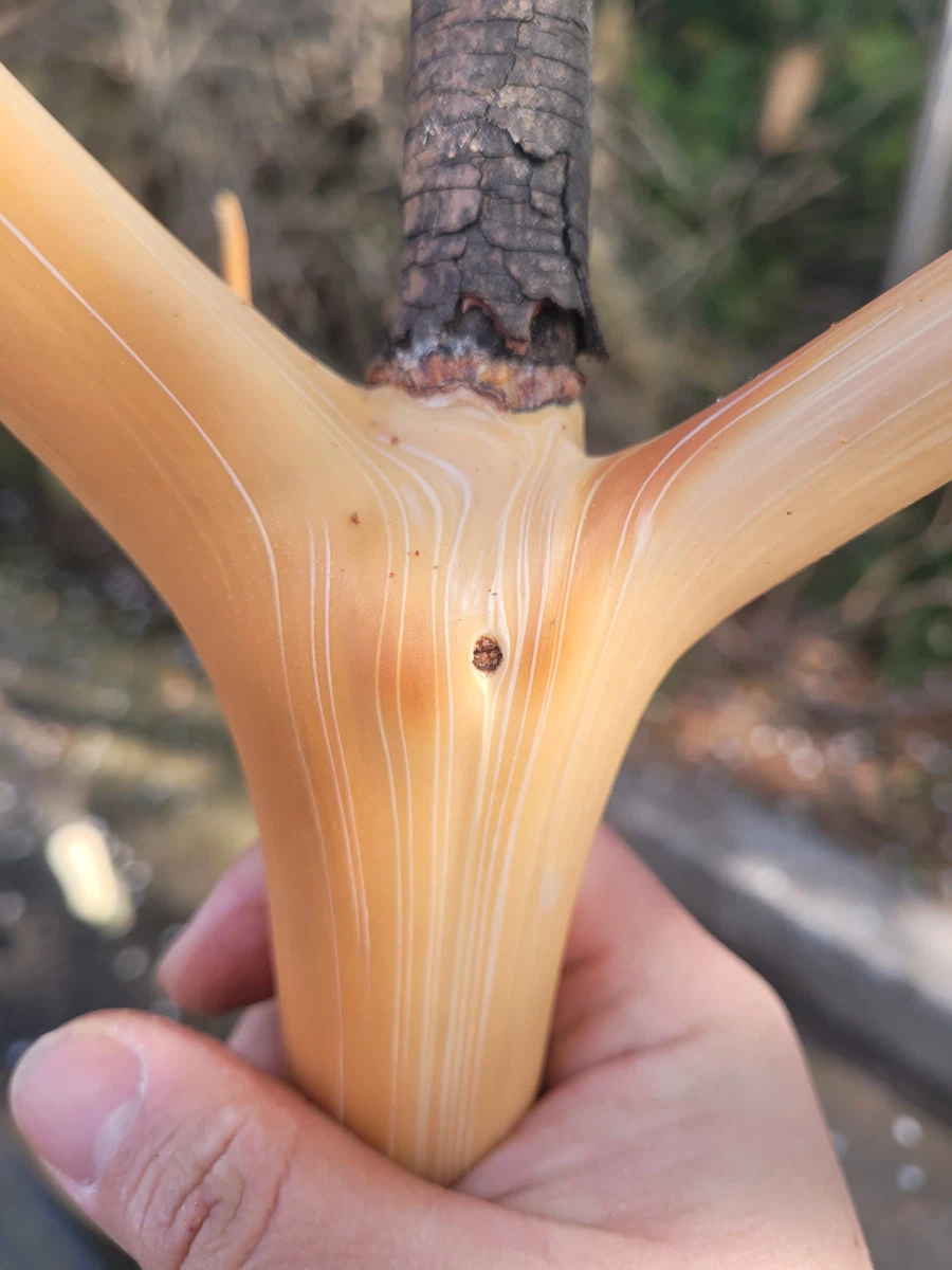 나만 보기 아까운 야한 사진 올림..._1.webp