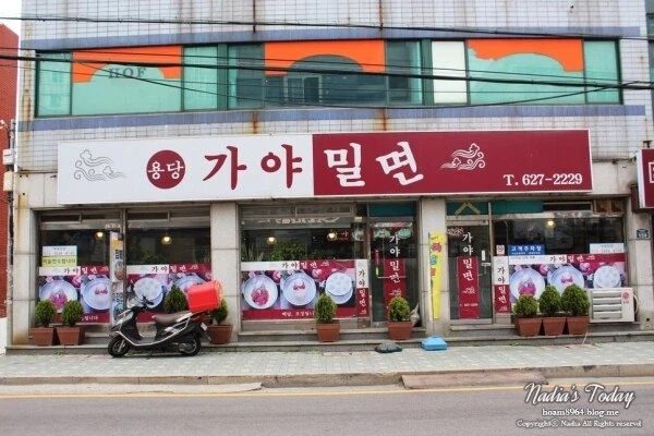 부산의 김밥천국 포지션_2.webp