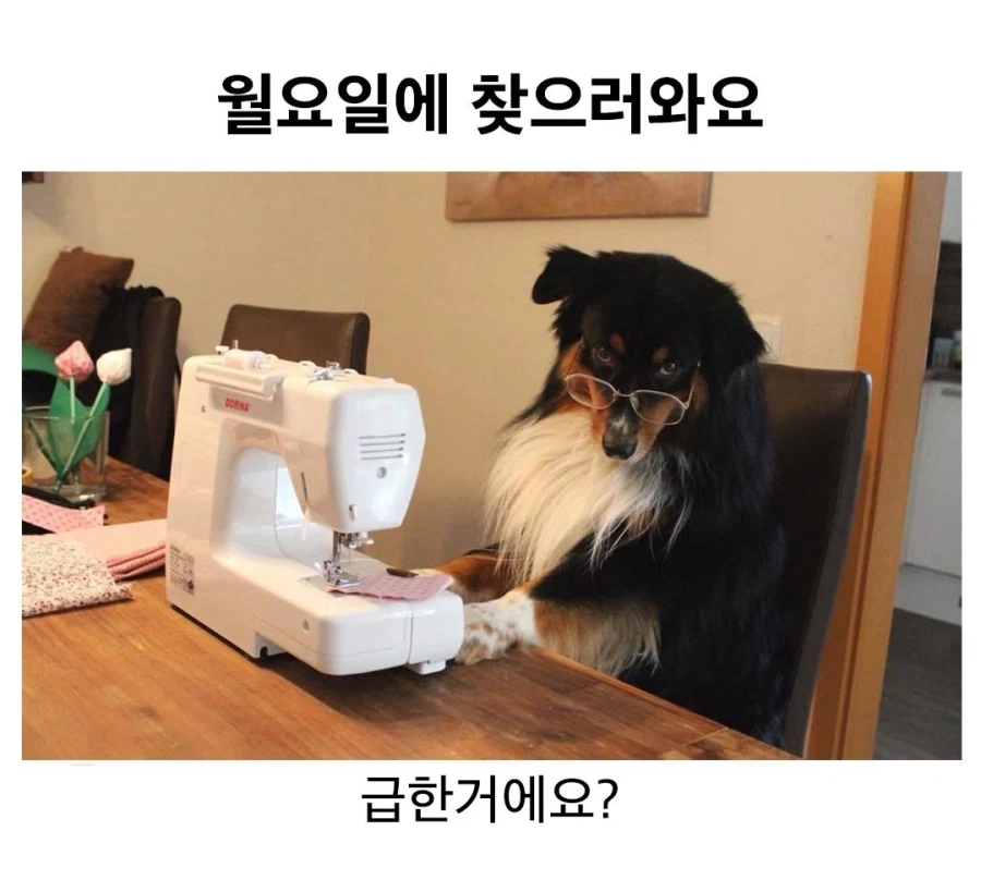 이거 수선 좀 하려고 왔는데요..._1.webp