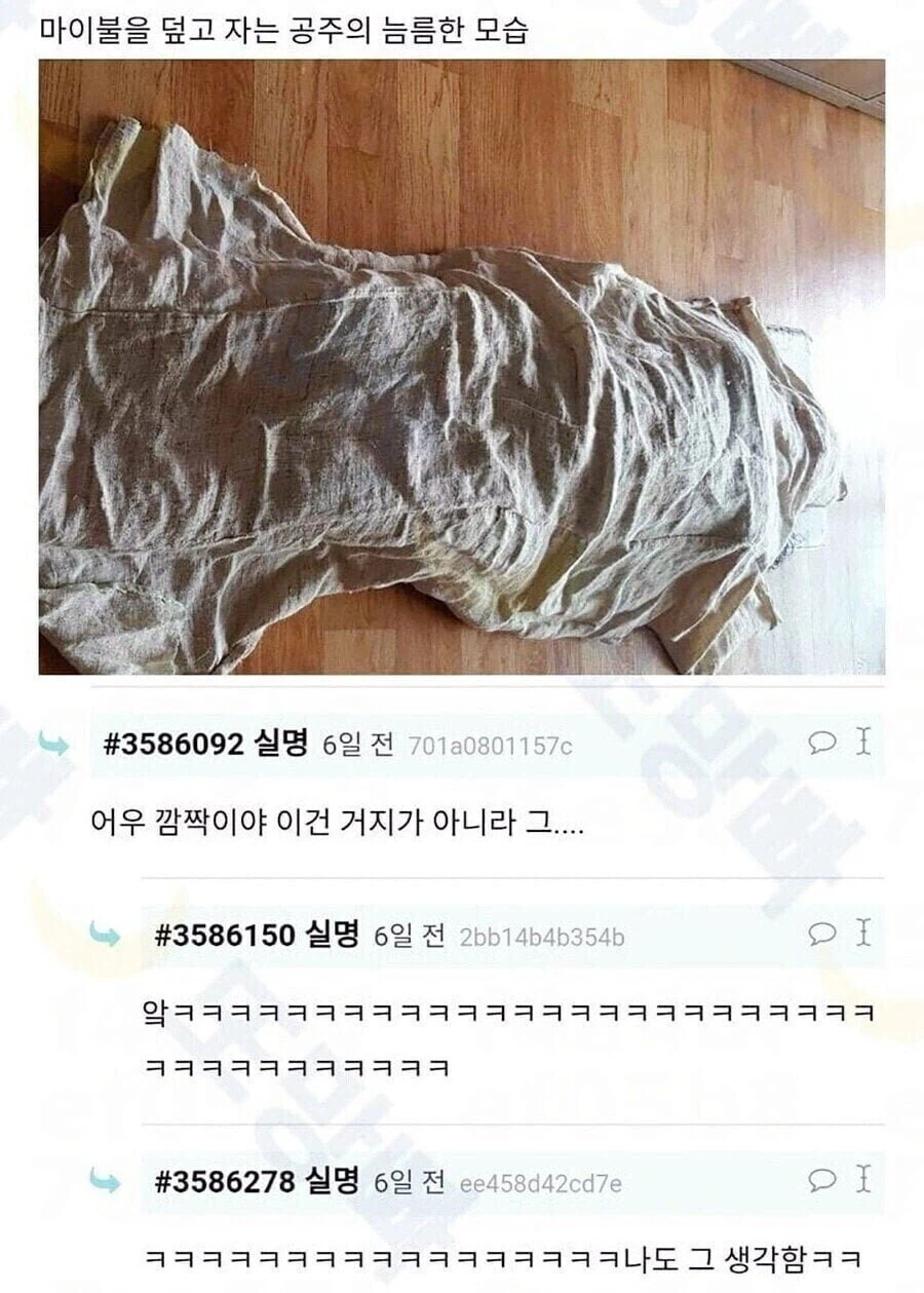 한국인한테 이렇게 주시면...;_2.webp