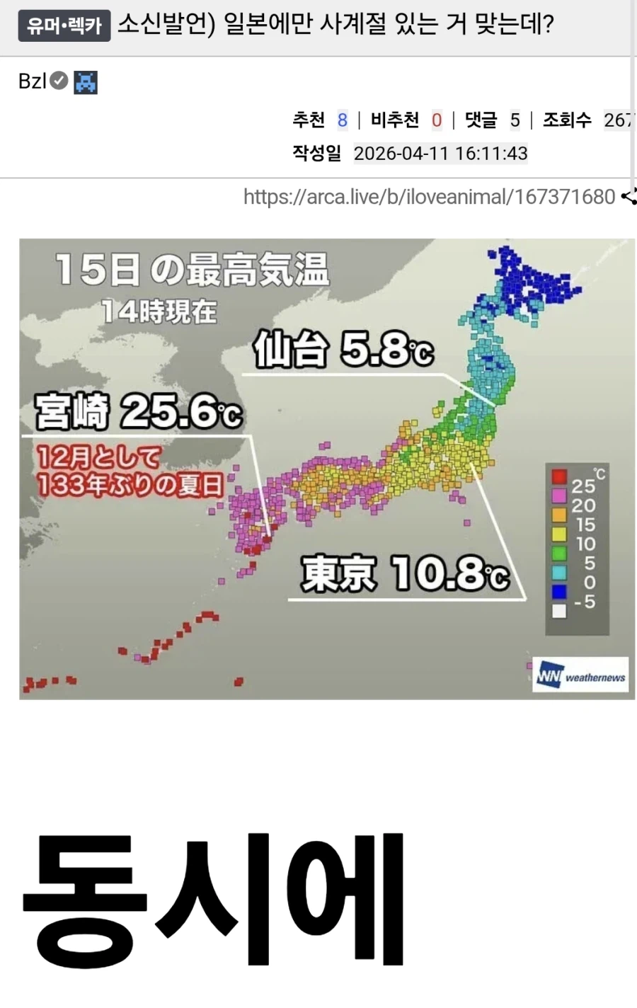 ??? : 일본은 사계절이 존재하는데.jpg_1.webp