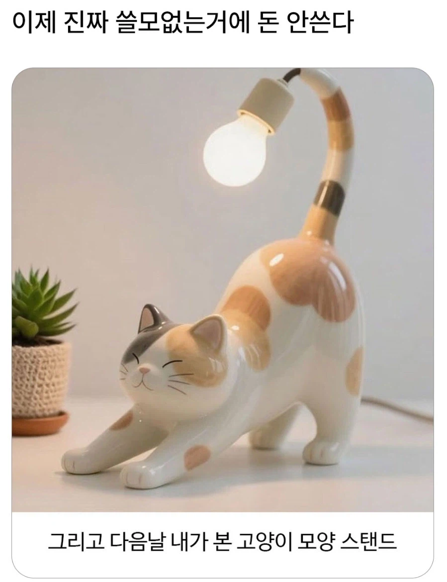 이제 진짜 쓸모 없는거 안산다!_1.webp