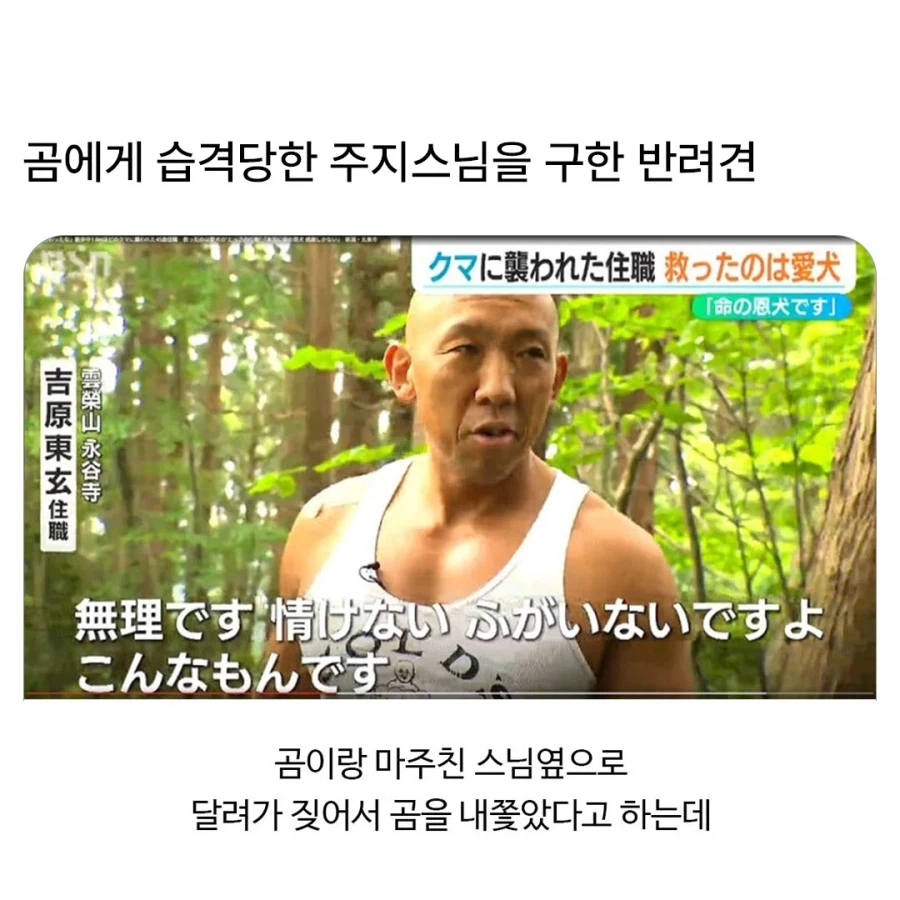 곰에게 습격당한 주지스님을 구한 댕댕이_1.webp