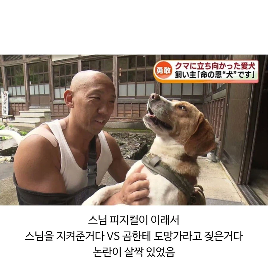 곰에게 습격당한 주지스님을 구한 댕댕이_2.webp