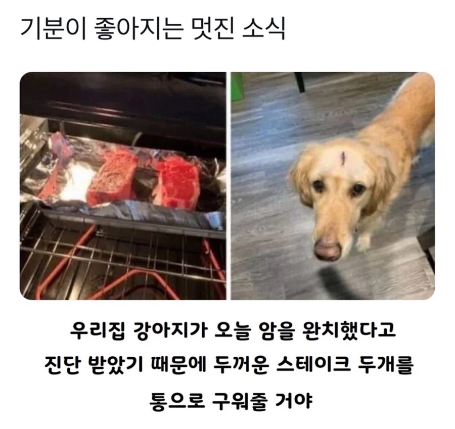 기분이 좋아지는 멋진 소식 jpg_1.webp