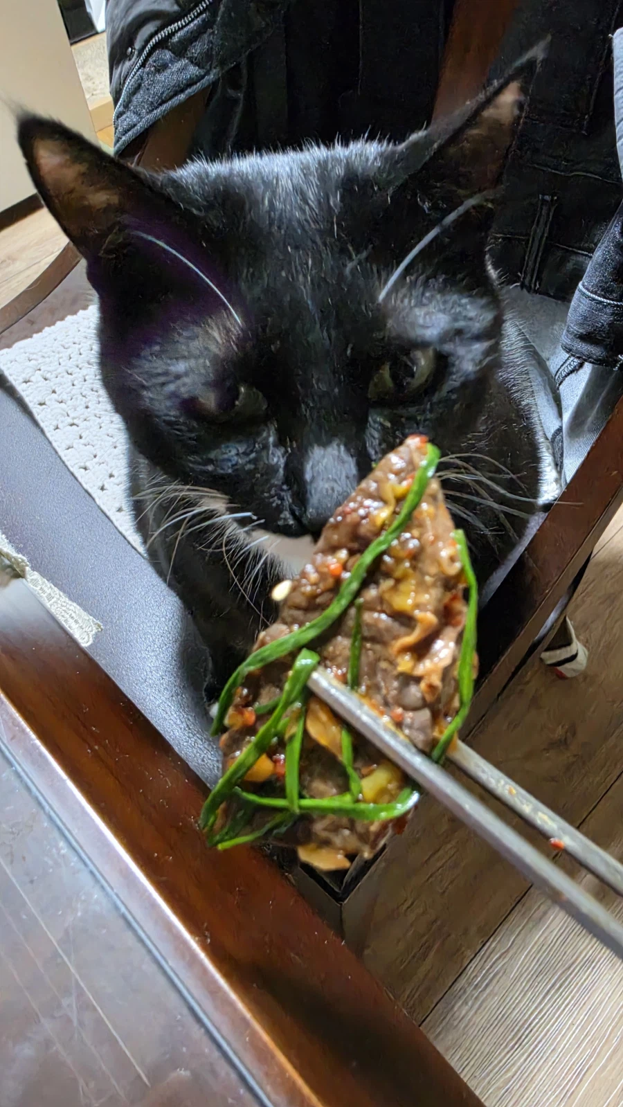 야옹이랑 한잔함_4.webp