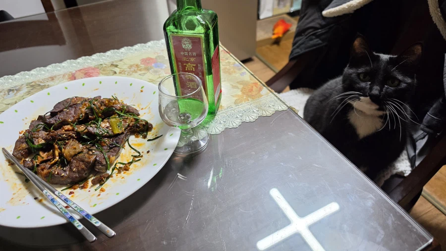 야옹이랑 한잔함_6.webp